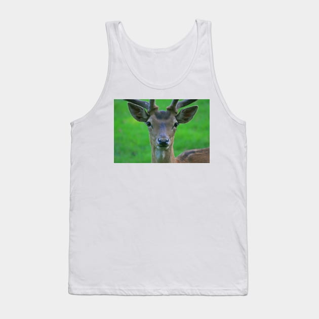 Fallow Deer, Cornwall, June 2019 Tank Top by RedHillDigital